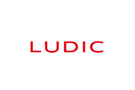 Ludic