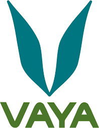 Vaya